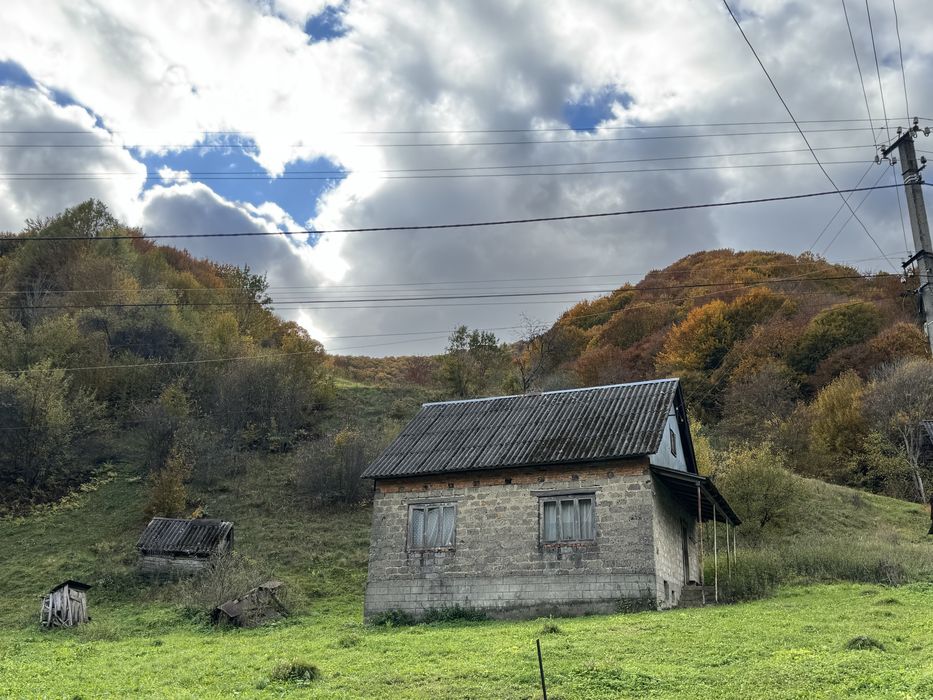 Продається будинок в с. Нижній Бистрий