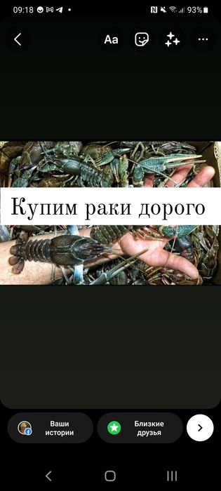 Ищу поставщиков раков закупаем раки покупаем рака