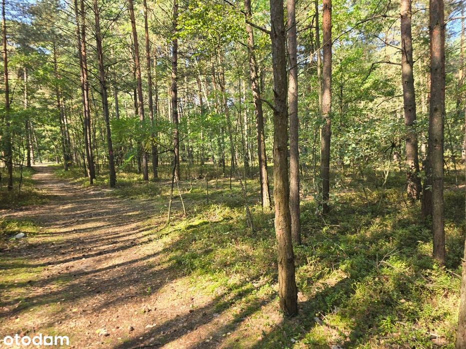 Działka budowlana Puszcza Mariańska 156 000 zł do negocjacji