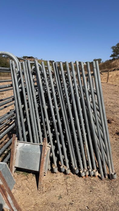 sistema de captura de vaca com espaço para condução