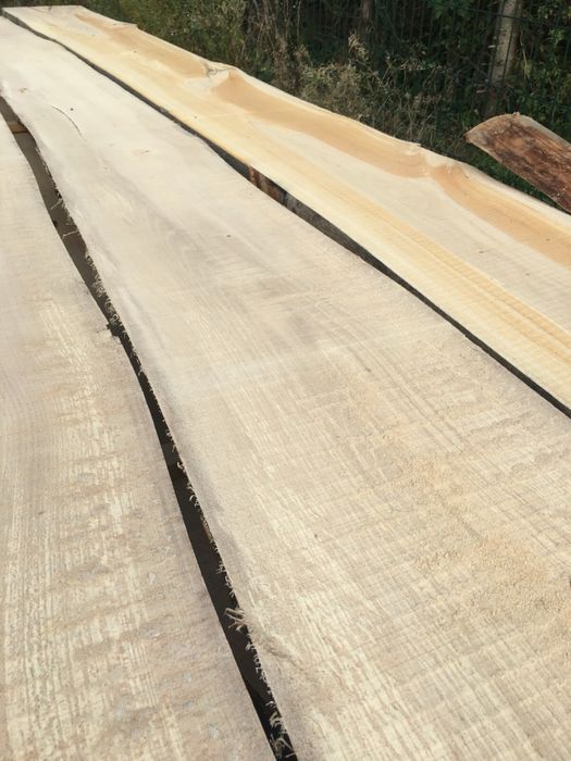 Drewno buk foszty różne