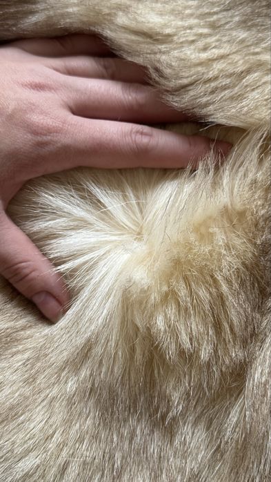 Prawdziwe futro z lisa