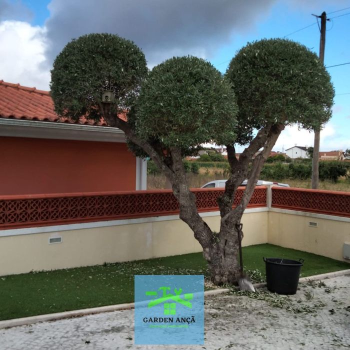 Serviços de limpeza de terreno e jardinagem.