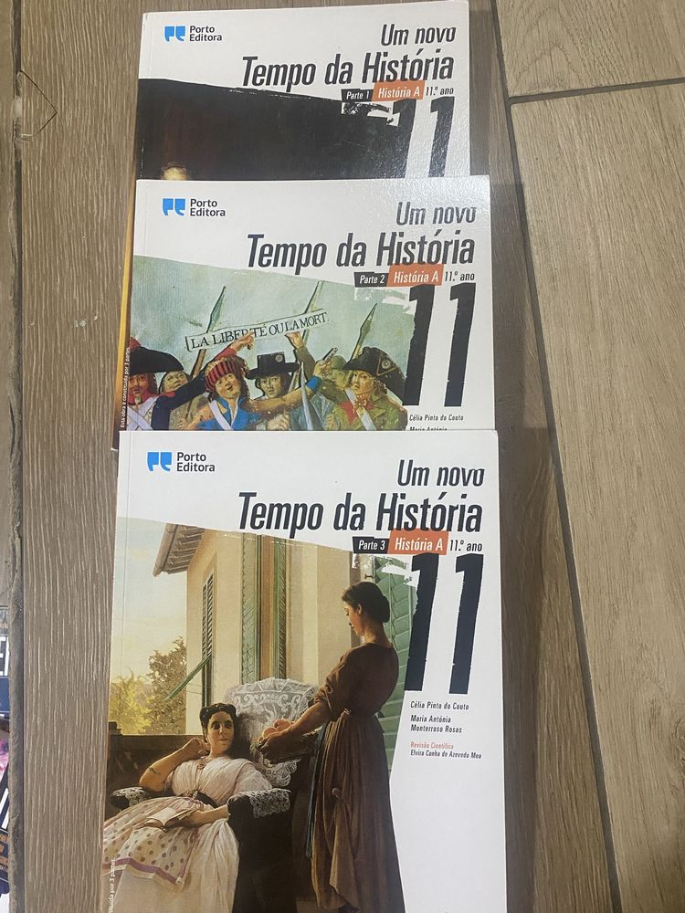 Manuais e caderno atividades 11 ano