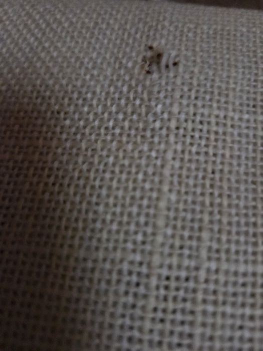 Obrus używany kremowy