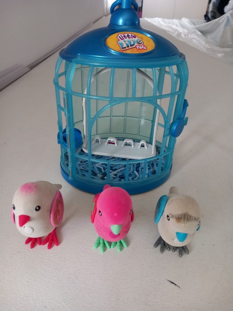 Gaiola e pássaros para brincar