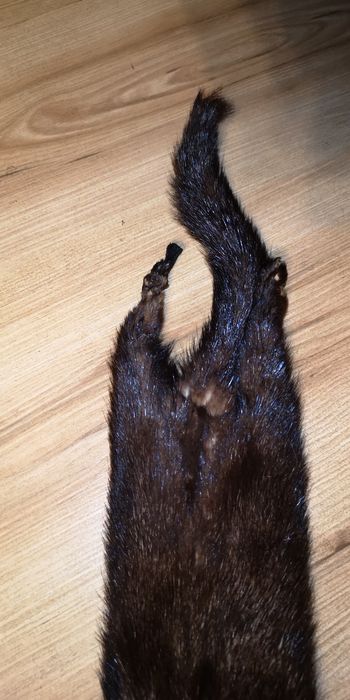 Brązowa norka 73cm