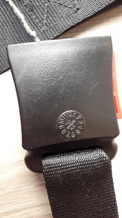 Cintos segurança para ovinho