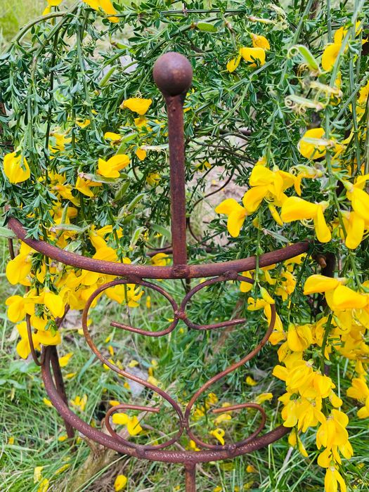 Podpora podpórka 55cm metal róż piwonii hortensji solidna, producent