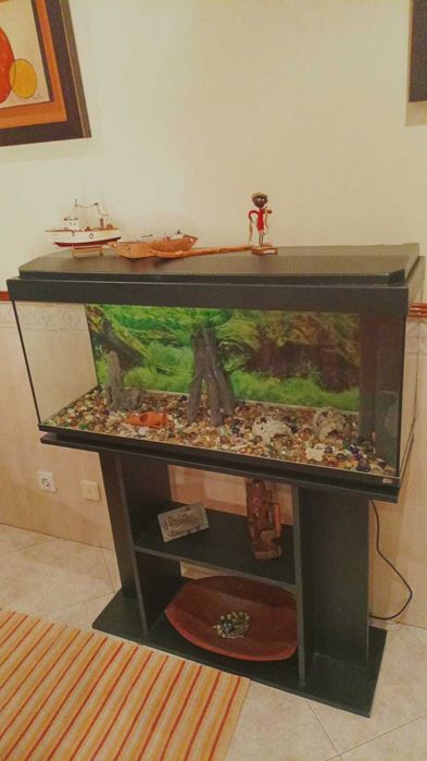 Aquário com móvel