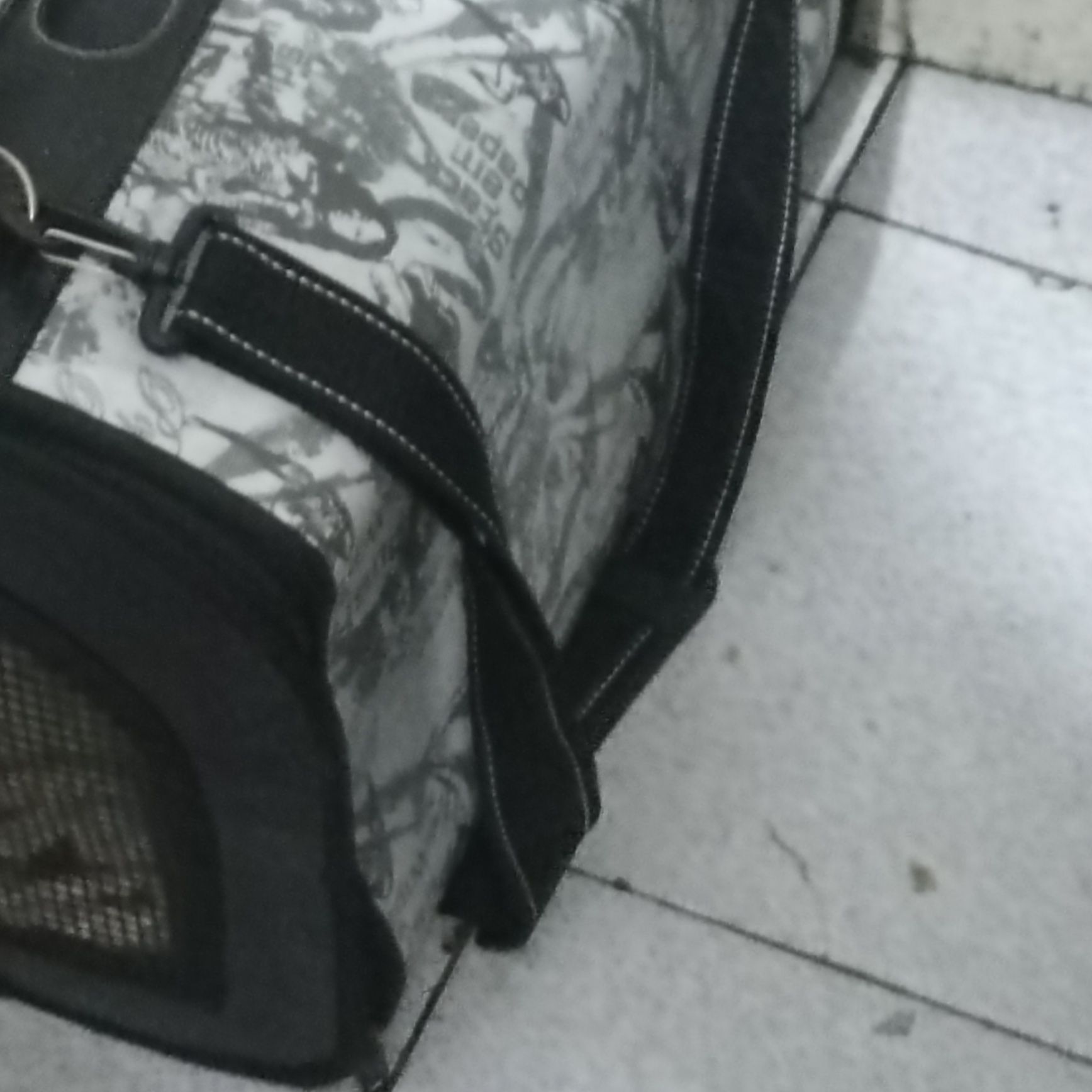Transportador para gatos e ou cães pequenos em muito bom estado