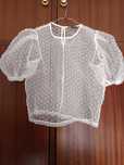 Blusa transparente da Zara