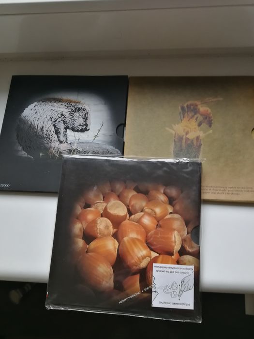 Polska zestaw monet rocznikowy 2014 rok