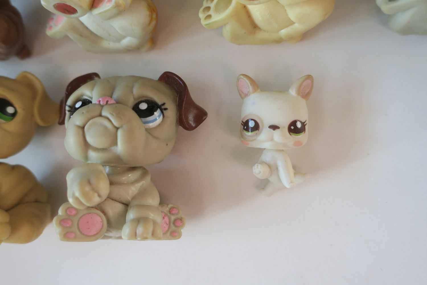 Buldog Littlest Pet Shop lps