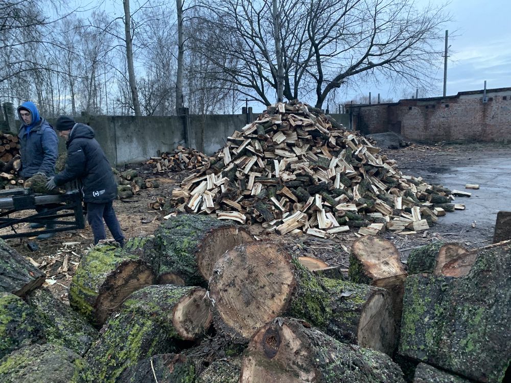 Дрова Бесплатная доставка Дуб, акация, ива сосна