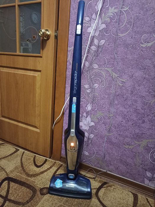 Акумуляторний пилосос Elektrolux