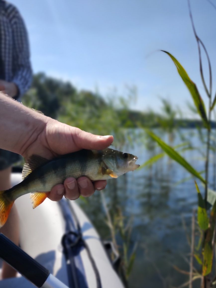 Kaszuby Stężyca, domek nad jeziorem  -wolny termin 24-31  sierpień