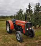 Ciągnik Sadowniczy Massey Ferguson 133 255. 2812. 3502. Sadownik