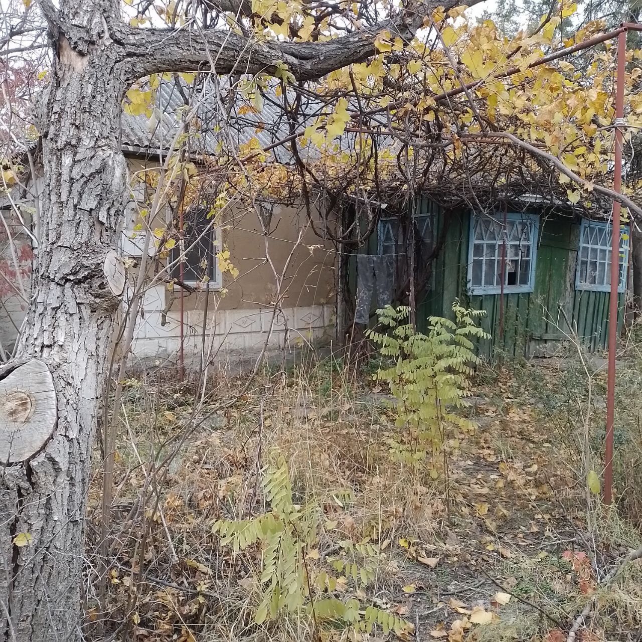 Продам участок с домом с. Васильевка