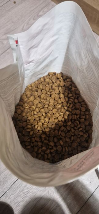 Applaws sucha karma kurczak łosoś 2 kg