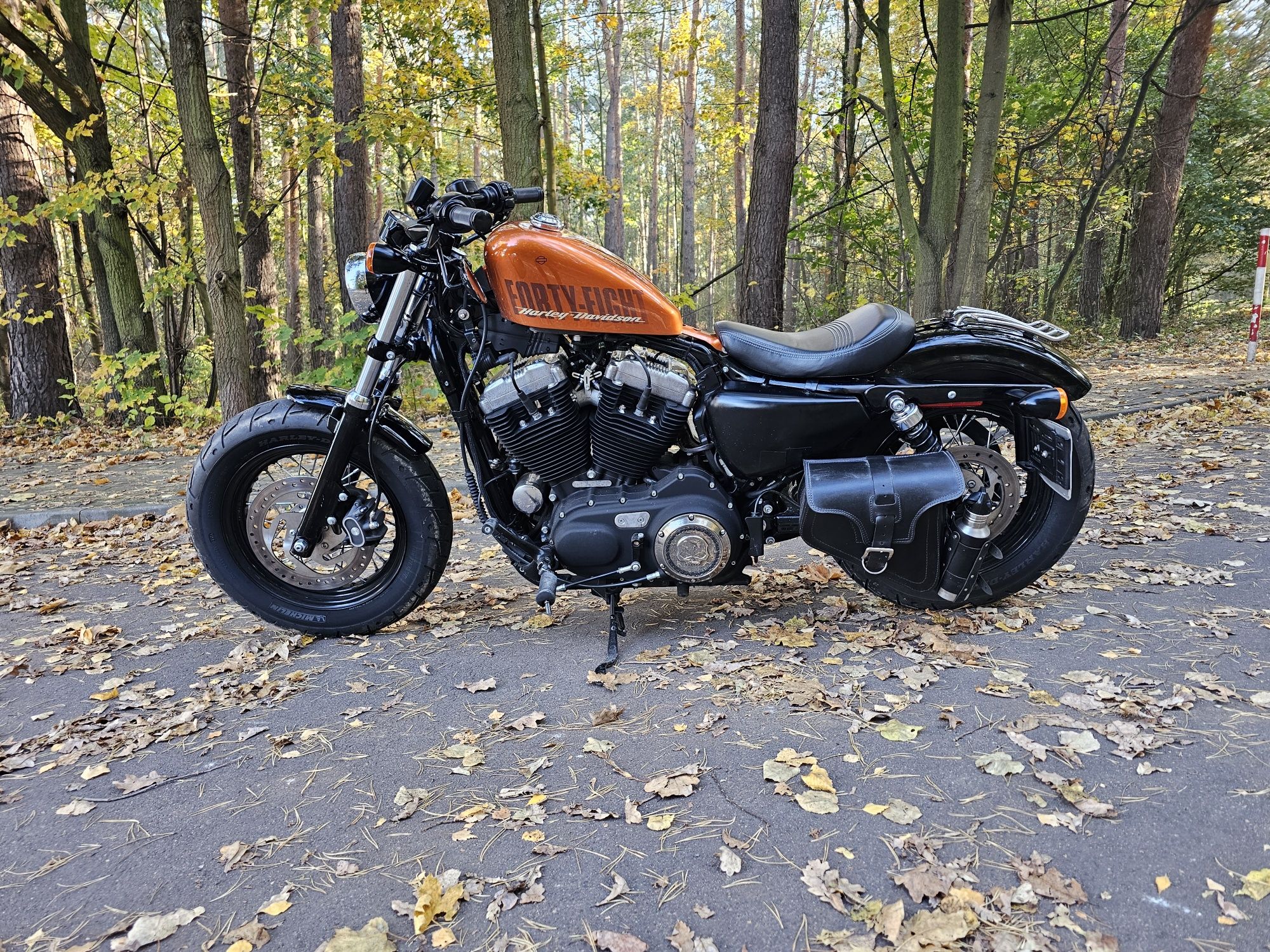 Harley Davidson Sporster Peanut 48