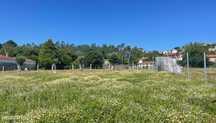Terreno em Curvos 1500m2