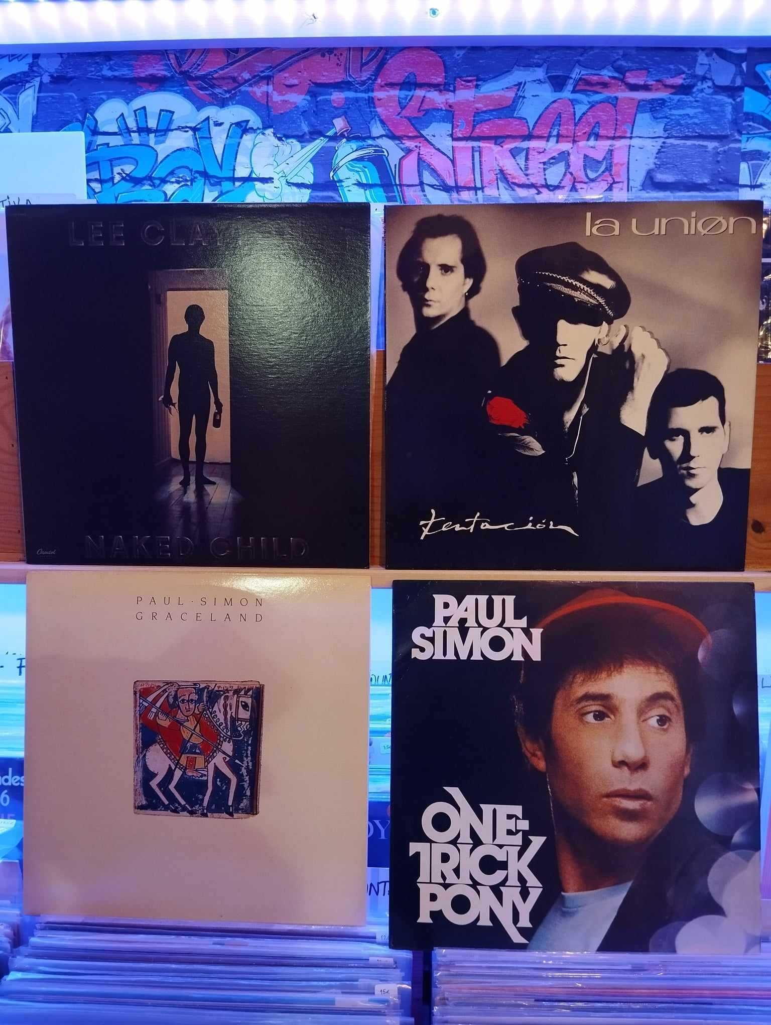 Vinil - Stevie Wonder,La Union,Paul Simon,P.Gabriel,P.Harum,Roxette...