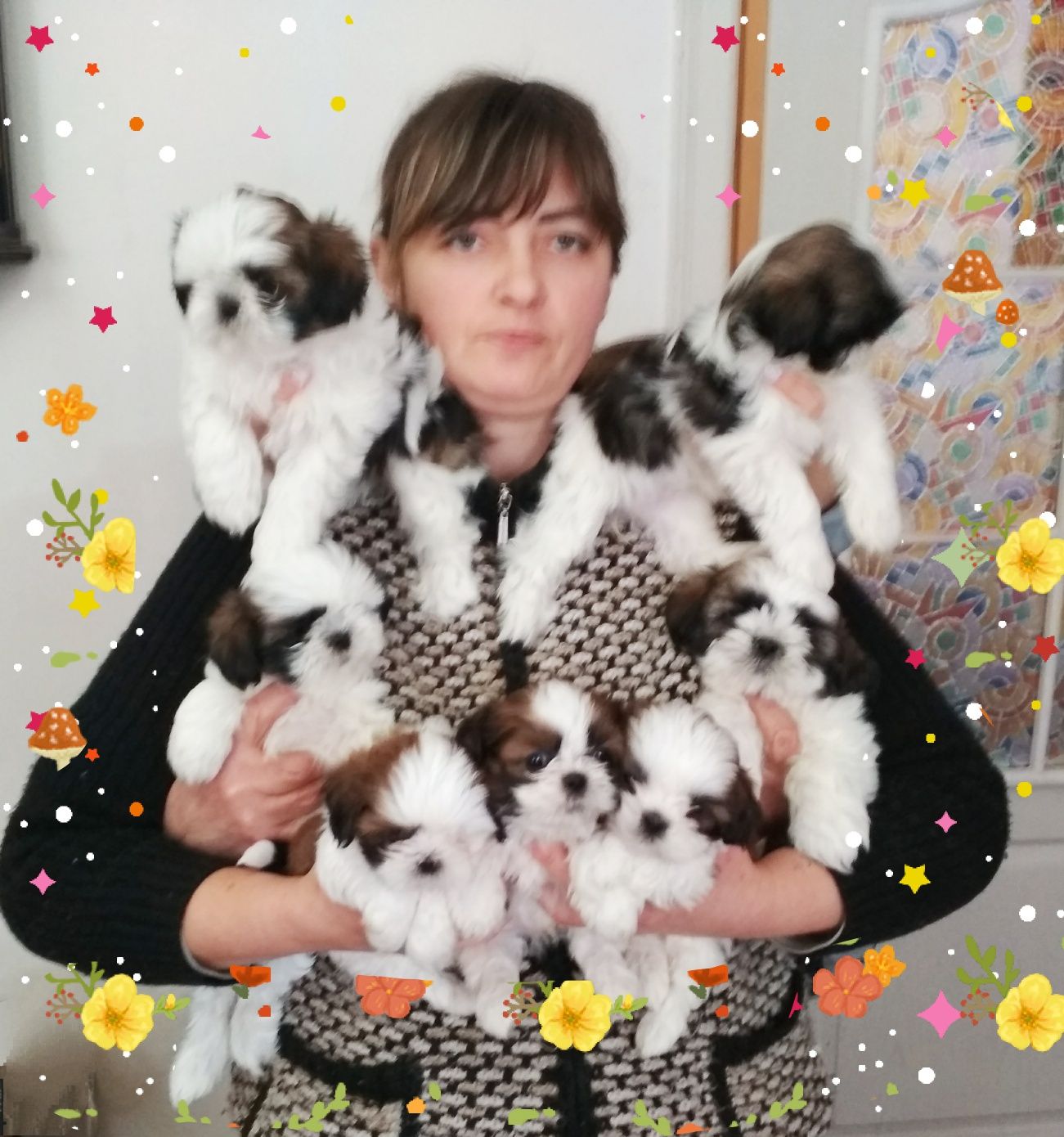 Вязка мини 3,5 кг . Джентльмен