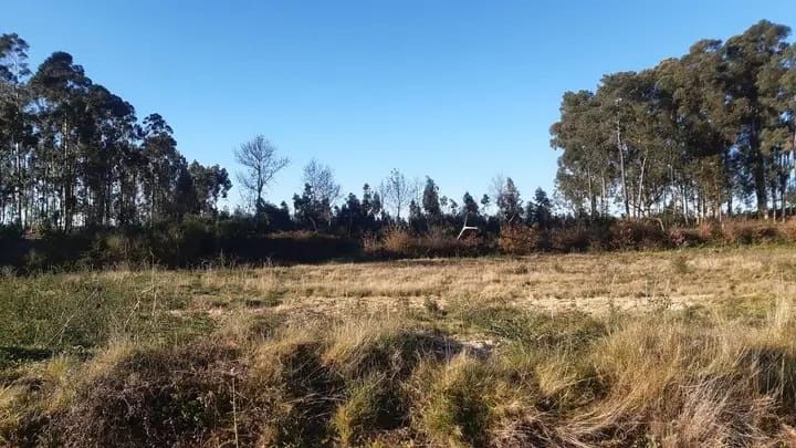 Terreno para venda Penafiel