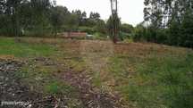 Terreno  para arrendamento