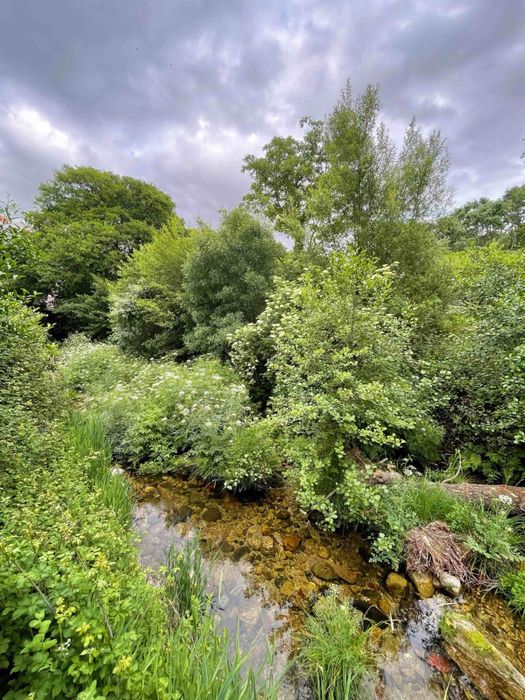 T2+2 Luminoso e Amplo