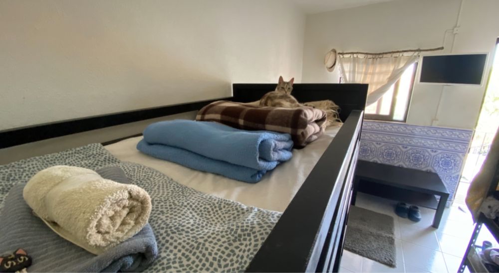 Quarto partilhado em mini-quintinha – c/ animais e horta