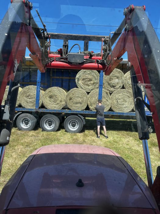 Siano z pierwszego pokosu