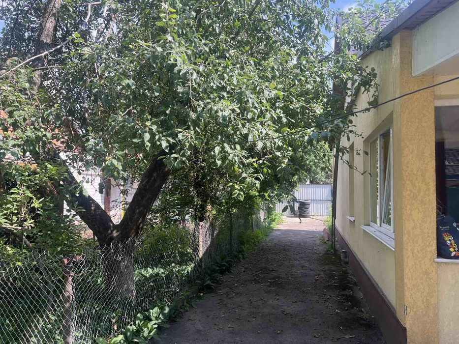 Зрізання дерев . Омолджування,санітарна обрізка