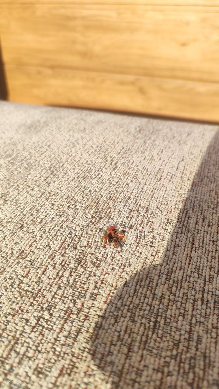 Sprzedam Sofę oraz fotele. Świeżo po wypraniu