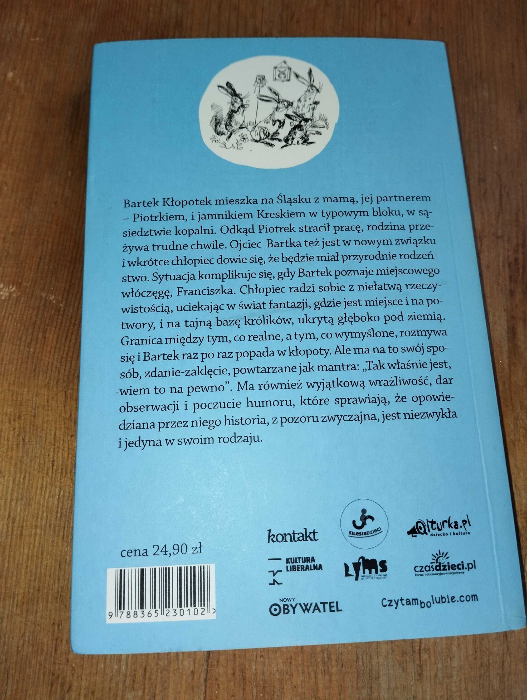 książka Kresek, Bartek i całkiem zwyczajny początek