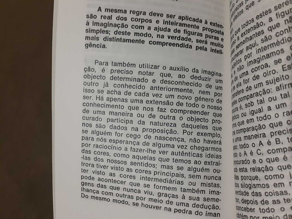 Descartes - Regras para a Direcção do Espírito