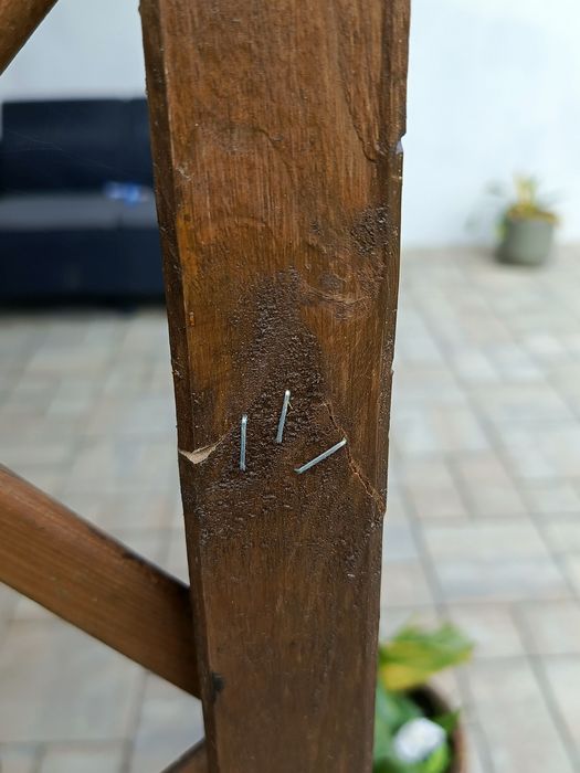 Donica z pergola i różami