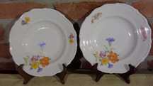 Talerze CT Altwasser,Porcelana Śląska CT TIELSCH ALTWASSER,1941 r.