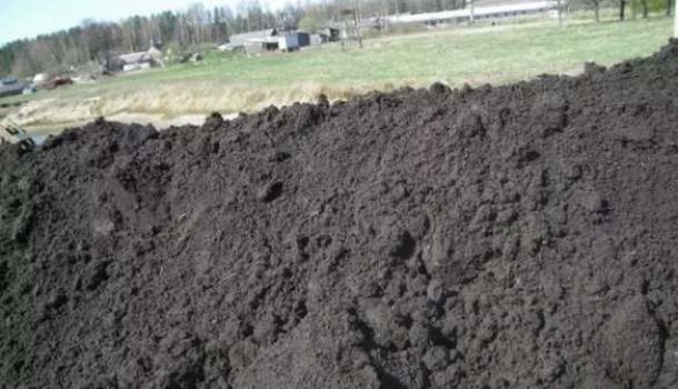 Чорнозем торфосуміш підсипка суглено Конча Заспа Обухів область