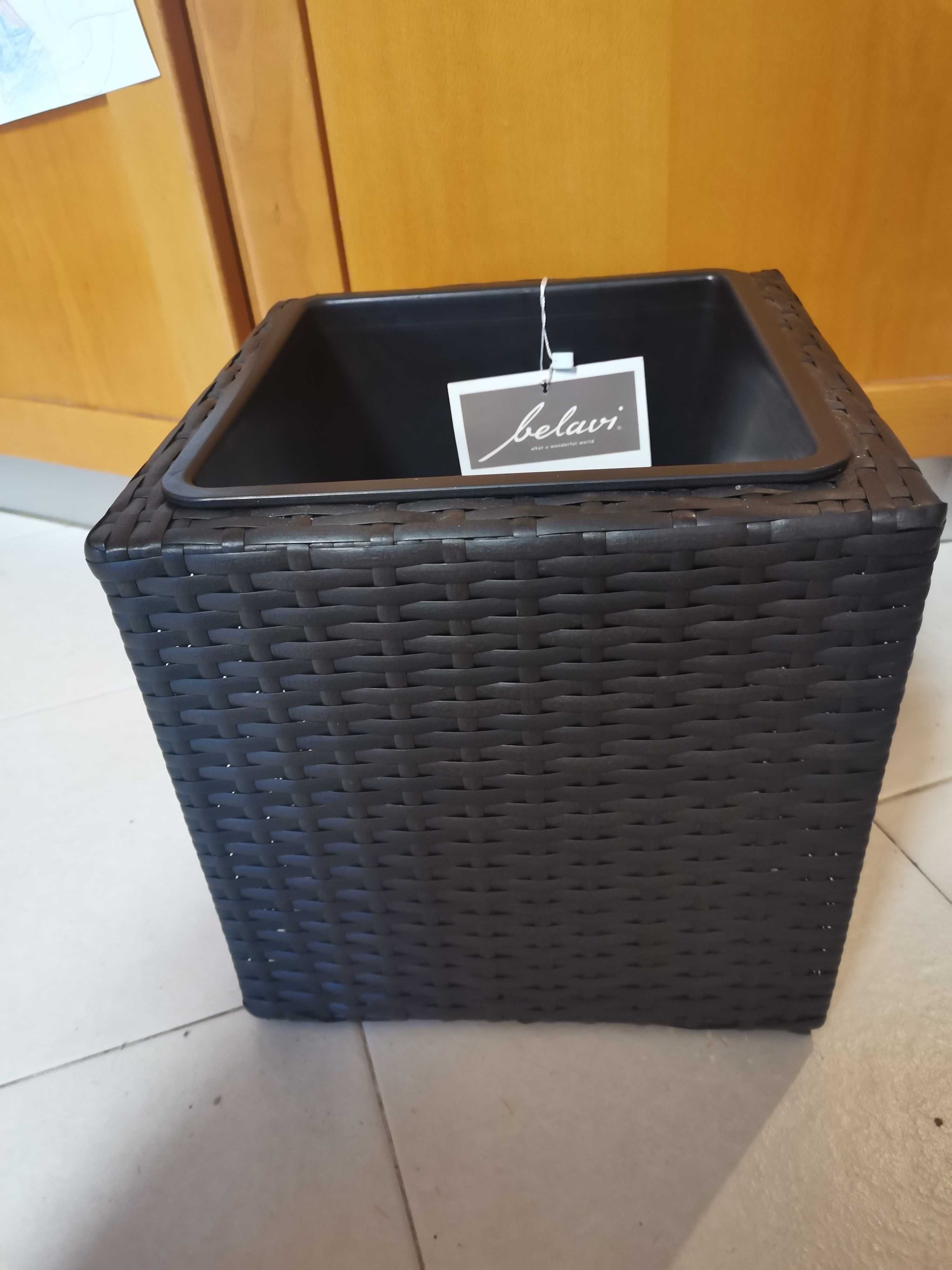 Vaso Wengue Novo