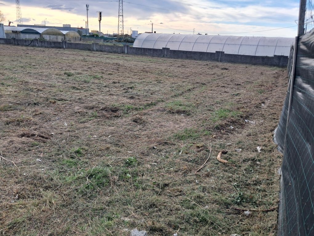 Limpeza trator e capinadeira