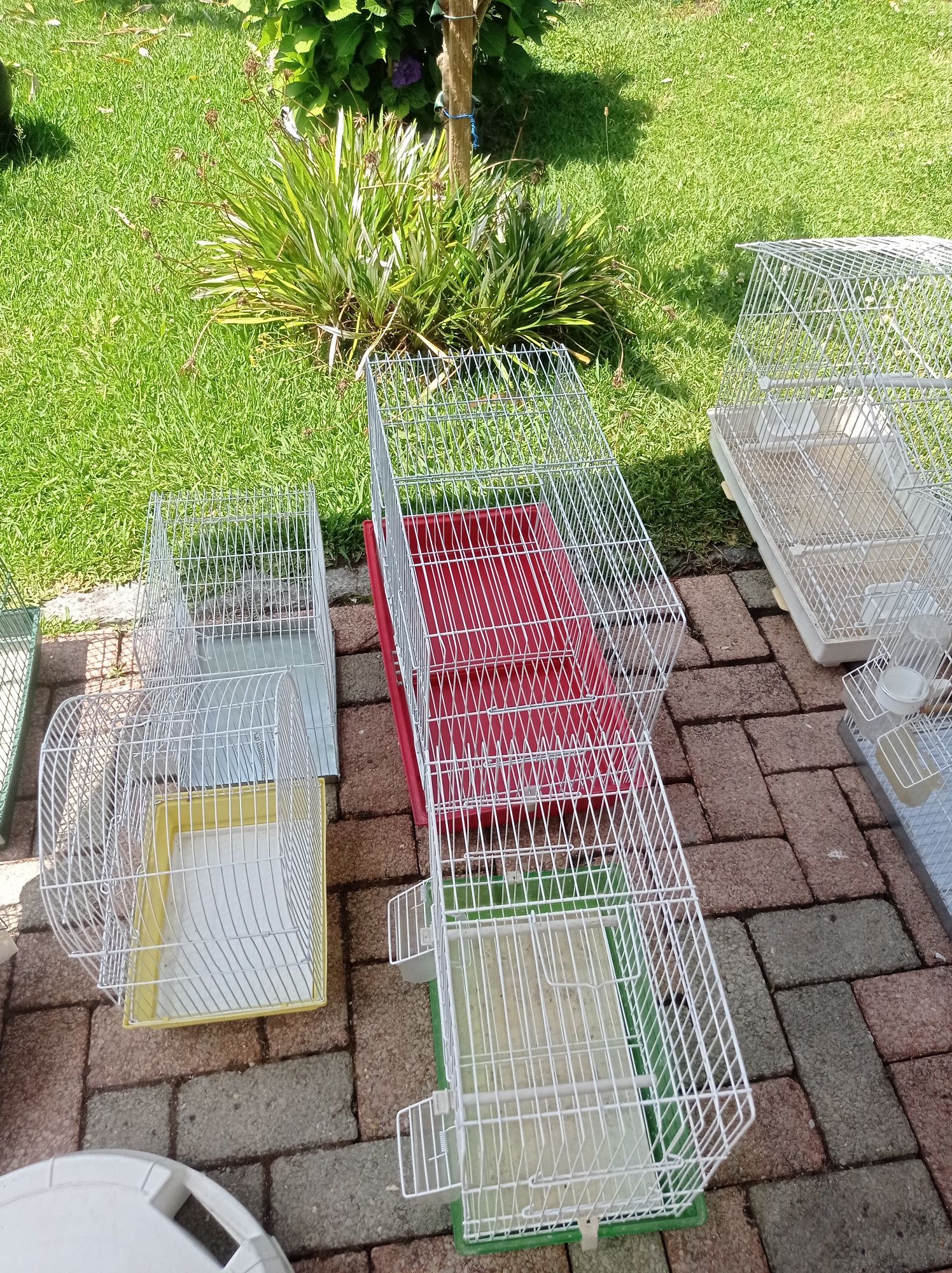 Várias Gaiolas para pássaros