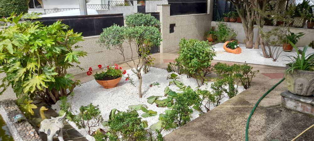Jardineiro construção e manutenção de jardins