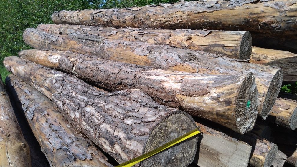 grube stemple pale bale klody 250 cm ogrodzenie ranczo