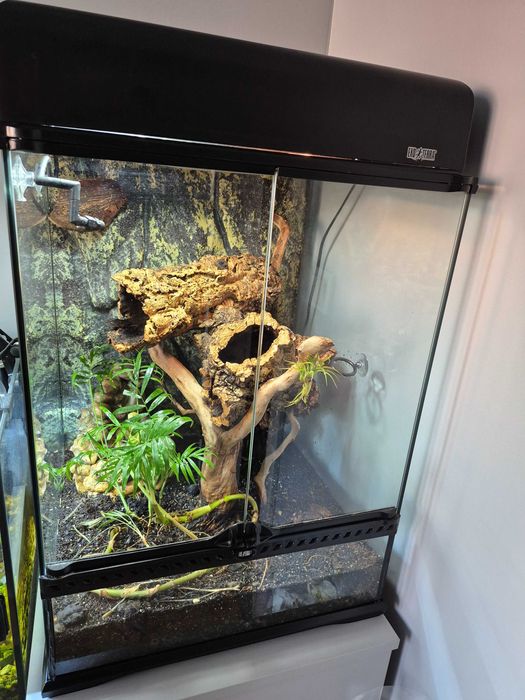 Terrarium zestaw EXO TERRA 45x45x60 system zraszający Gekon Kameleon