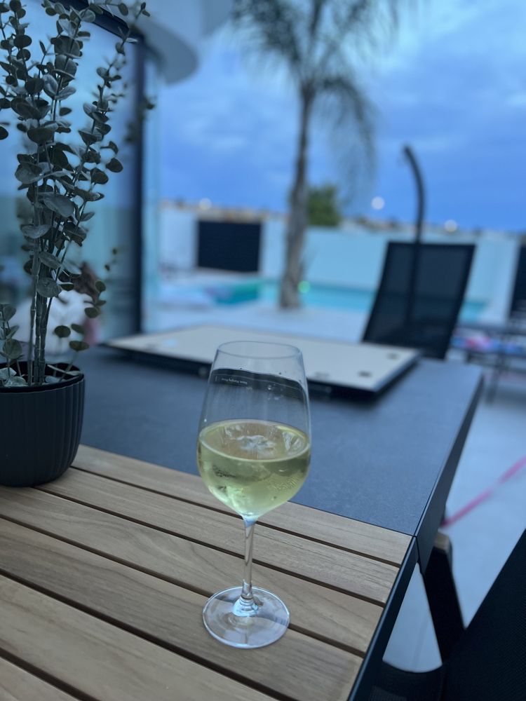 Alicante VILLA LUISA Dom Basen od 24.08 wynajem Hiszpania Transfer