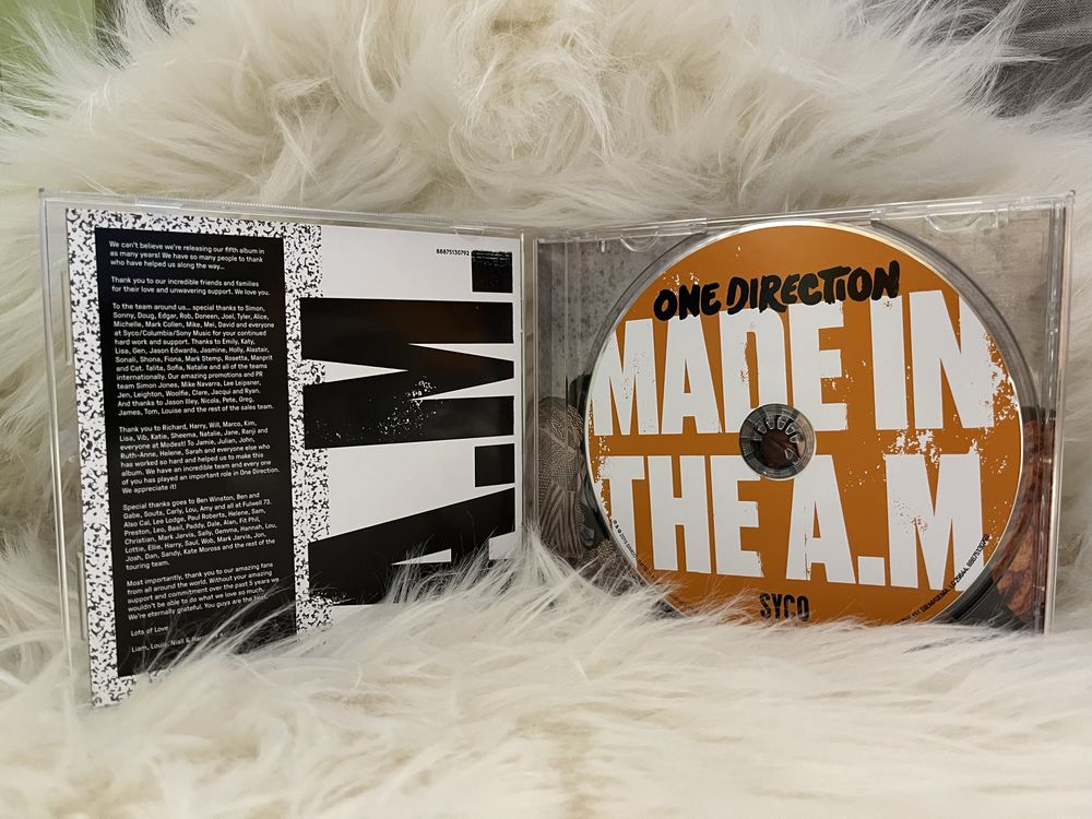 one direction made in the a.m