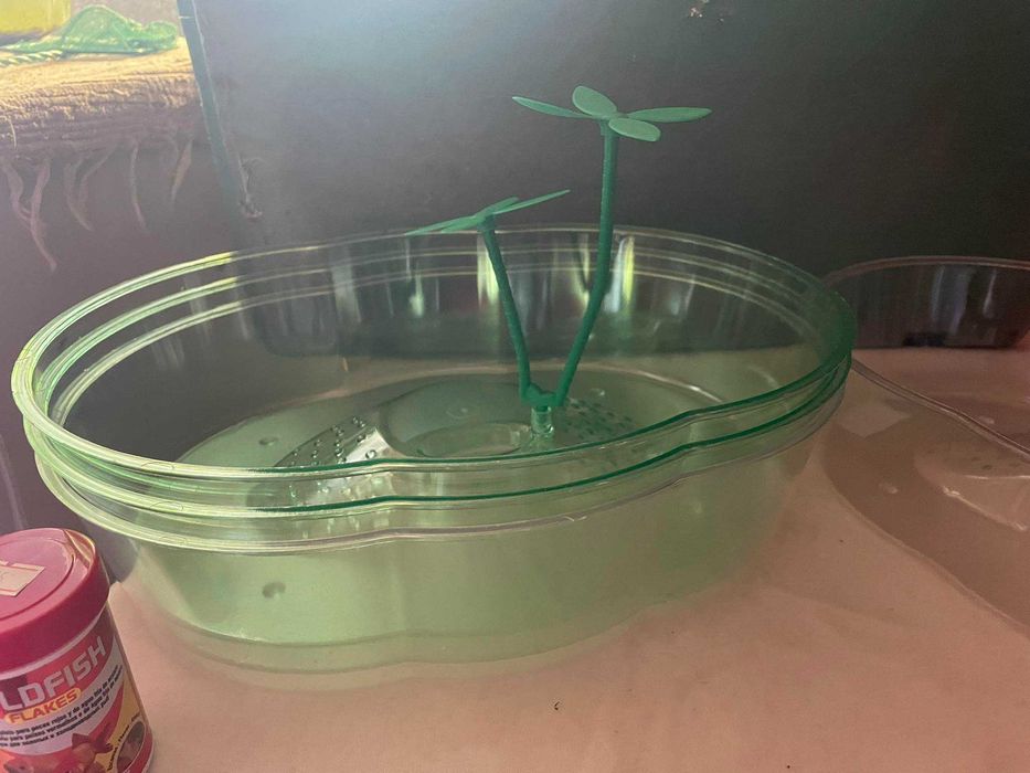 Terrário para tartarugas