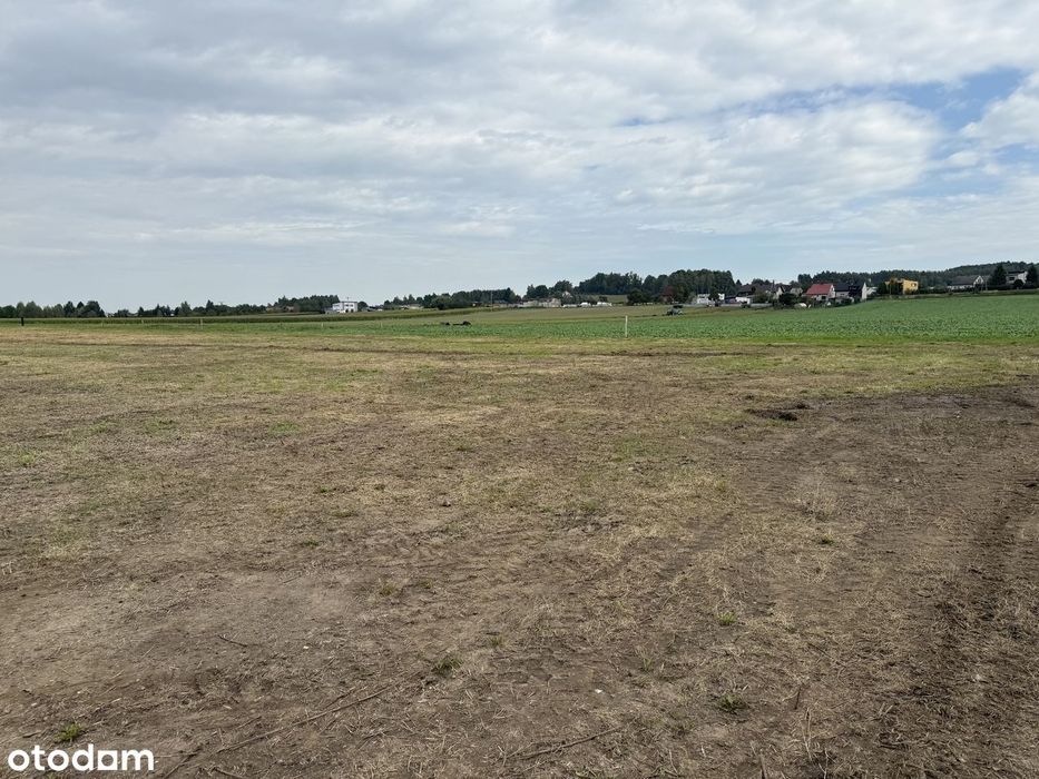 Działka budowlana Turza Śląska ul. Leśna